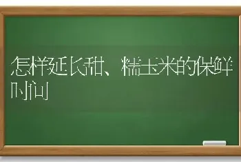 怎样延长甜、糯玉米的保鲜时间