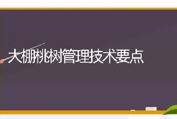 大棚桃树管理技术要点