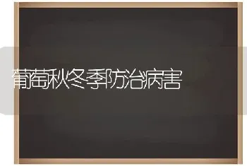 葡萄秋冬季防治病害