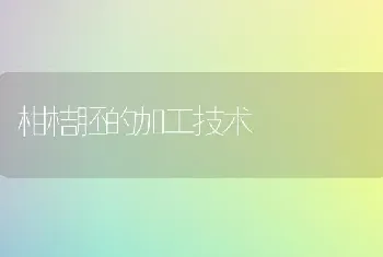 春季蔬菜育苗死苗原因及预防措施