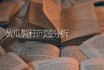 黄瓜裂秆问题分析