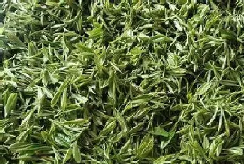 高山野茶属于什么茶?