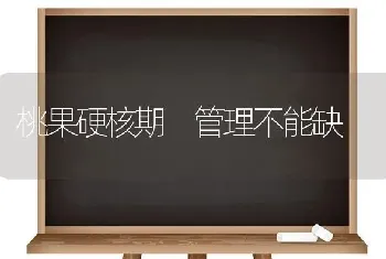 桃果硬核期 管理不能缺