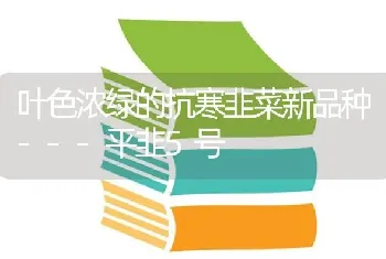 叶色浓绿的抗寒韭菜新品种---平韭5号