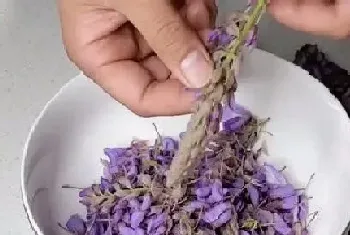 紫藤花可以吃吗?紫藤花的功效与作用