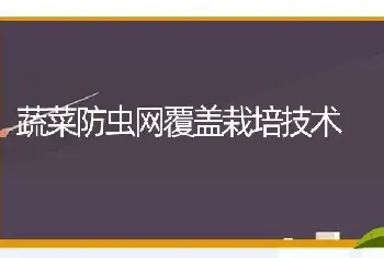 蔬菜防虫网覆盖栽培技术