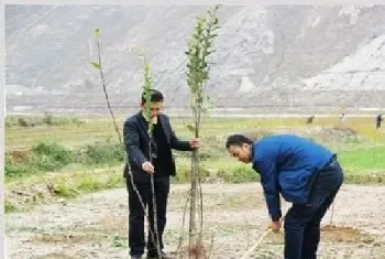 果树不同季节栽培注意事项