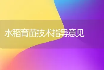 水稻育苗技术指导意见