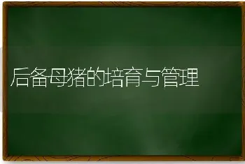 辣椒落花落果 有可能是吊蔓不当