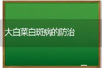 大白菜白斑病的防治