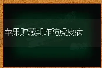 巧施肥可防梨树黄化病