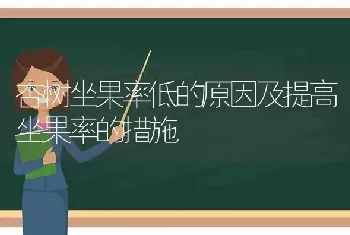 杏树坐果率低的原因及提高坐果率的措施