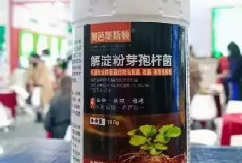 解淀粉芽孢杆菌对植物的作用?