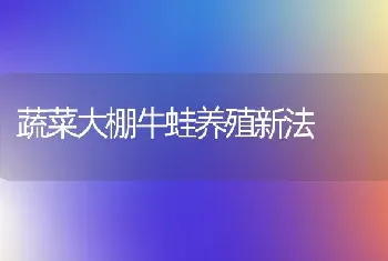 蔬菜大棚牛蛙养殖新法