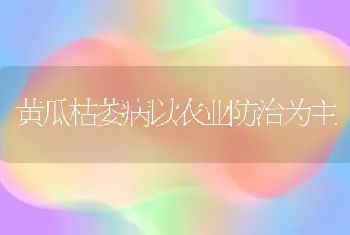 黄瓜枯萎病以农业防治为主