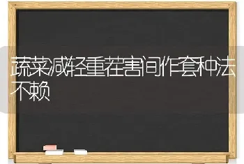 蔬菜减轻重茬害间作套种法不赖