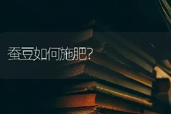 蚕豆如何施肥?