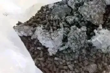 有机菌肥长白毛是好肥吗,微生物菌肥长毛效果好不好?