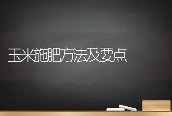 玉米施肥方法及要点