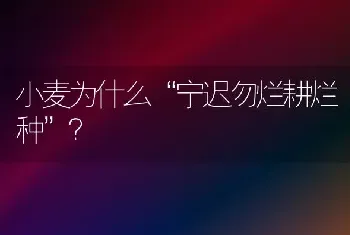 小麦为什么“宁迟勿烂耕烂种”?