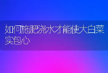 如何施肥浇水才能使大白菜实包心