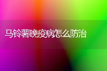 马铃薯晚疫病怎么防治