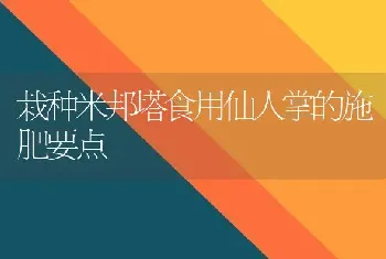 栽种米邦塔食用仙人掌的施肥要点