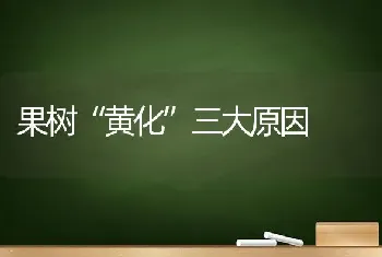 果树“黄化”三大原因