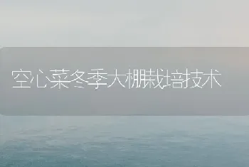 空心菜冬季大棚栽培技术