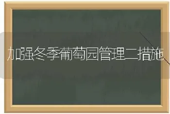 加强冬季葡萄园管理二措施