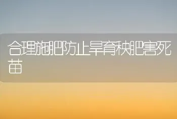 合理施肥防止旱育秧肥害死苗