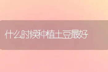 什么时候种植土豆最好