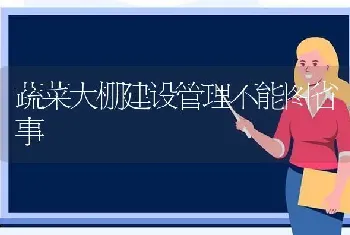 蔬菜大棚建设管理不能图省事