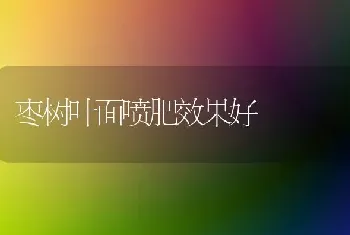 枣树叶面喷肥效果好