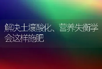 解决土壤酸化、营养失衡学会这样施肥