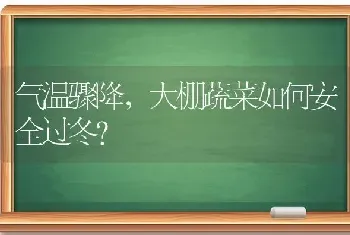 气温骤降,大棚蔬菜如何安全过冬?