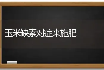 玉米缺素对症来施肥