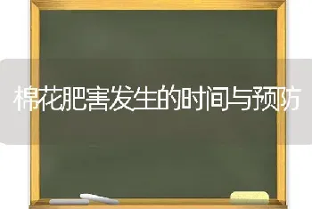 棉花肥害发生的时间与预防