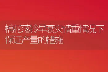 棉花落铃早衰灾情重情况下保证产量的措施