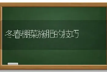 冬春棚菜施肥的技巧