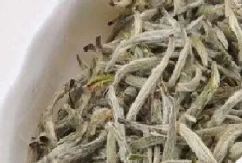 云南白茶属于什么茶?