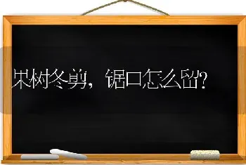 果树冬剪,锯口怎么留?