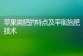 苹果需肥的特点及平衡施肥技术