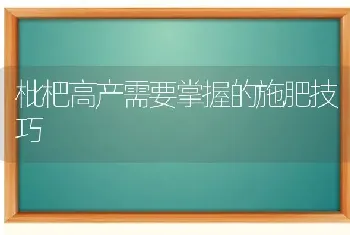 枇杷高产需要掌握的施肥技巧