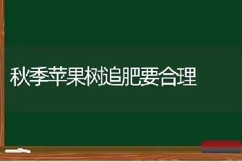 秋季苹果树追肥要合理