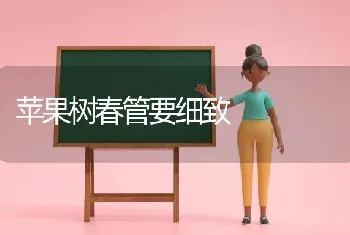 苹果树春管要细致