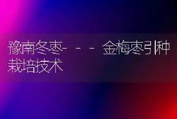 豫南冬枣---金梅枣引种栽培技术