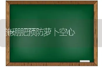 施硼肥预防萝卜空心