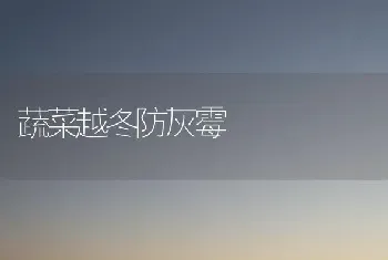 蔬菜越冬防灰霉