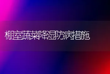 棚室蔬菜降湿防病措施